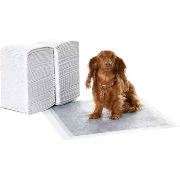 Amazon Basics Dog and Puppy Pee Pads with 5Layer LeakProof Design and QuickDry Surface for Potty Training OdorControl Carbon Regular Size 22 x 22 Inch  Pack of 80 GrayRegular 120 Count