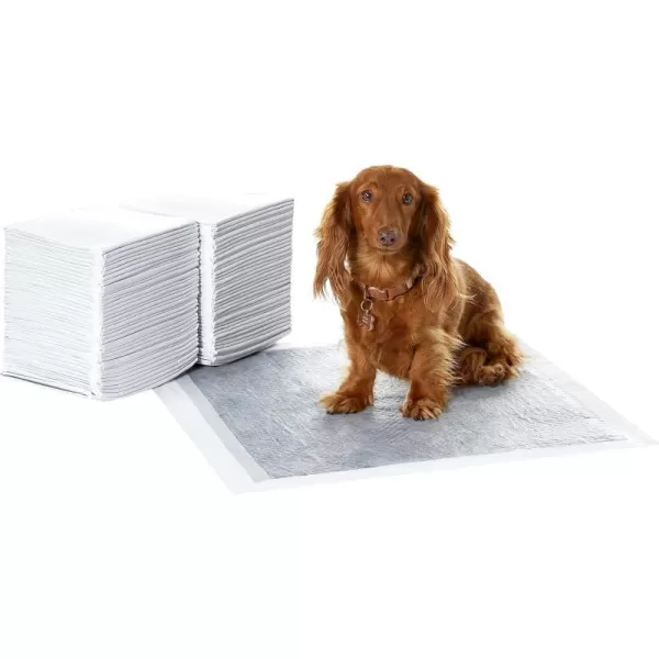 Amazon Basics Dog and Puppy Pee Pads with 5Layer LeakProof Design and QuickDry Surface for Potty Training OdorControl Carbon Regular Size 22 x 22 Inch  Pack of 80 GrayRegular 80 Count