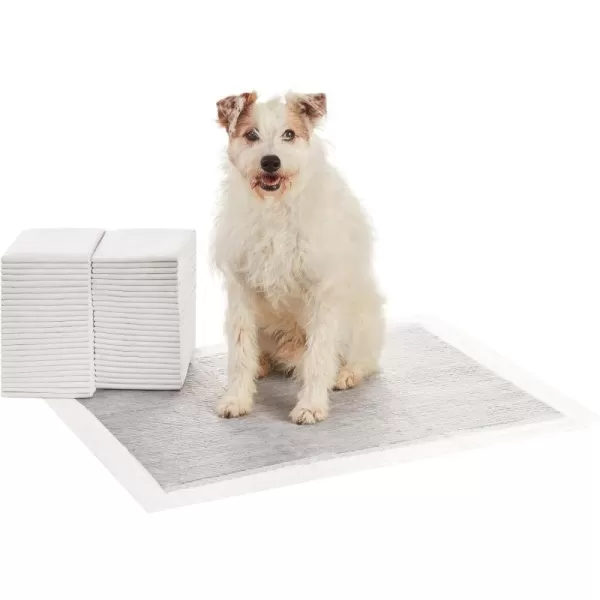 Amazon Basics Dog and Puppy Pee Pads with 5Layer LeakProof Design and QuickDry Surface for Potty Training OdorControl Carbon Regular Size 22 x 22 Inch  Pack of 80 GrayXLarge 50 Count