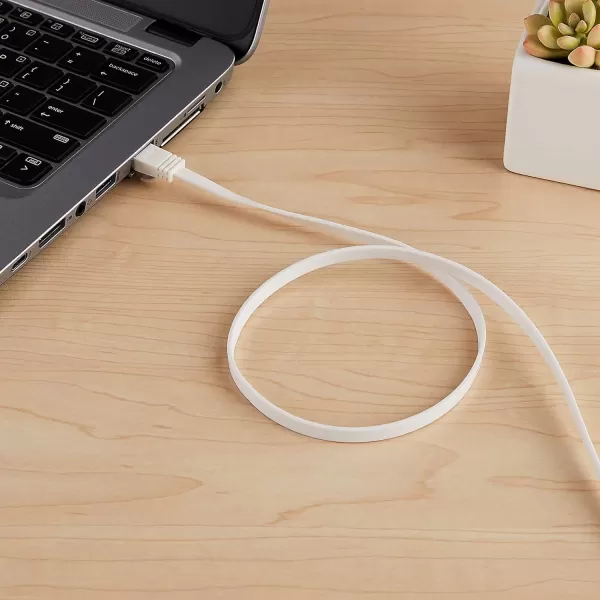 Amazon Basics Cat 6 Gigabit Ethernet Patch Internet Cable Flat  30FT 1Pack White  Include 15 Nails100Foot White