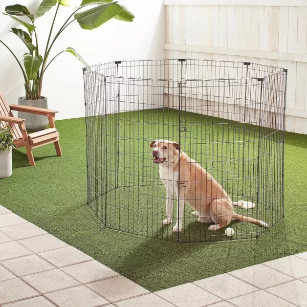 Amazon Basics Foldable Metal Exercise Pet Play Pen for Dogs Fence Pen Single Door Black 60 x 60 x 48 InchesWithout door Large  48H