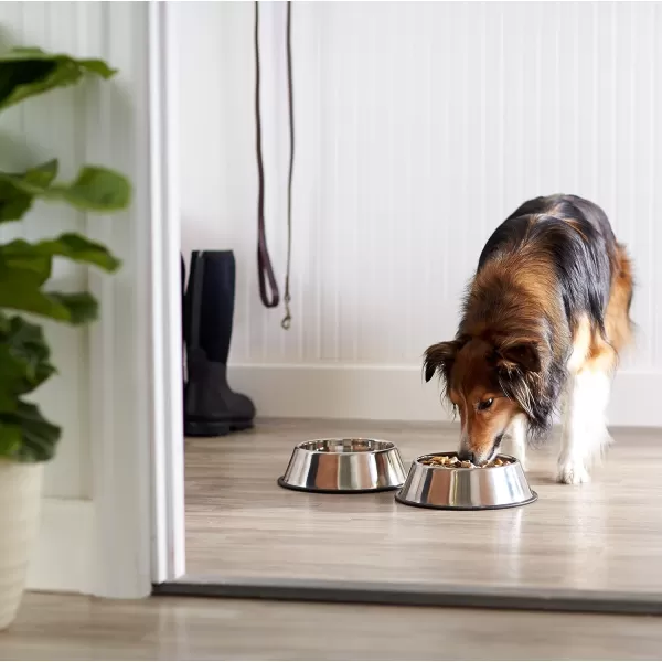 Amazon Basics Stainless Steel NonSkid Pet Dog Water And Food Bowl 2Pack 11 x 3 Inches Each Holds Up to 35 Cups2Pack