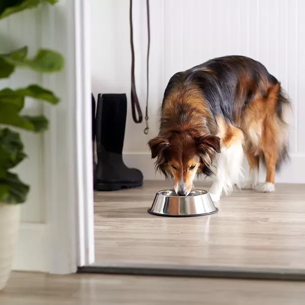 Amazon Basics Stainless Steel NonSkid Pet Dog Water And Food Bowl 2Pack 11 x 3 Inches Each Holds Up to 35 CupsSingle