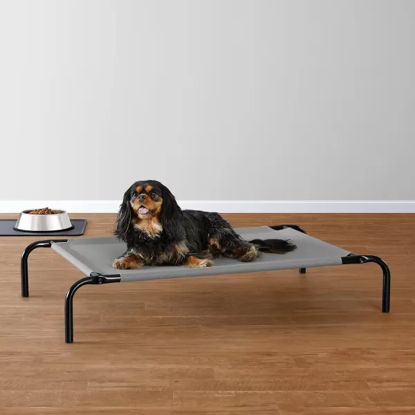 Amazon Basics Cooling Elevated Dog Bed with Metal Frame Medium 43 x 26 x 75 Inch Grey356L x 218W x 77Th Grey