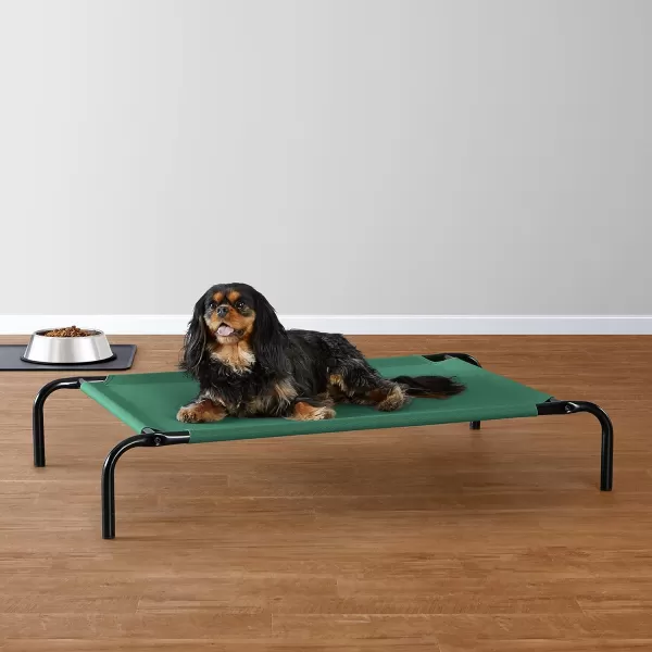 Amazon Basics Cooling Elevated Dog Bed with Metal Frame Medium 43 x 26 x 75 Inch Grey360L x 220W x 75Th Green