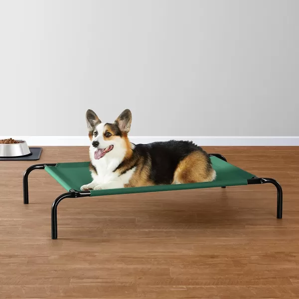 Amazon Basics Cooling Elevated Dog Bed with Metal Frame Medium 43 x 26 x 75 Inch Grey77L x 256W x 77Th Green