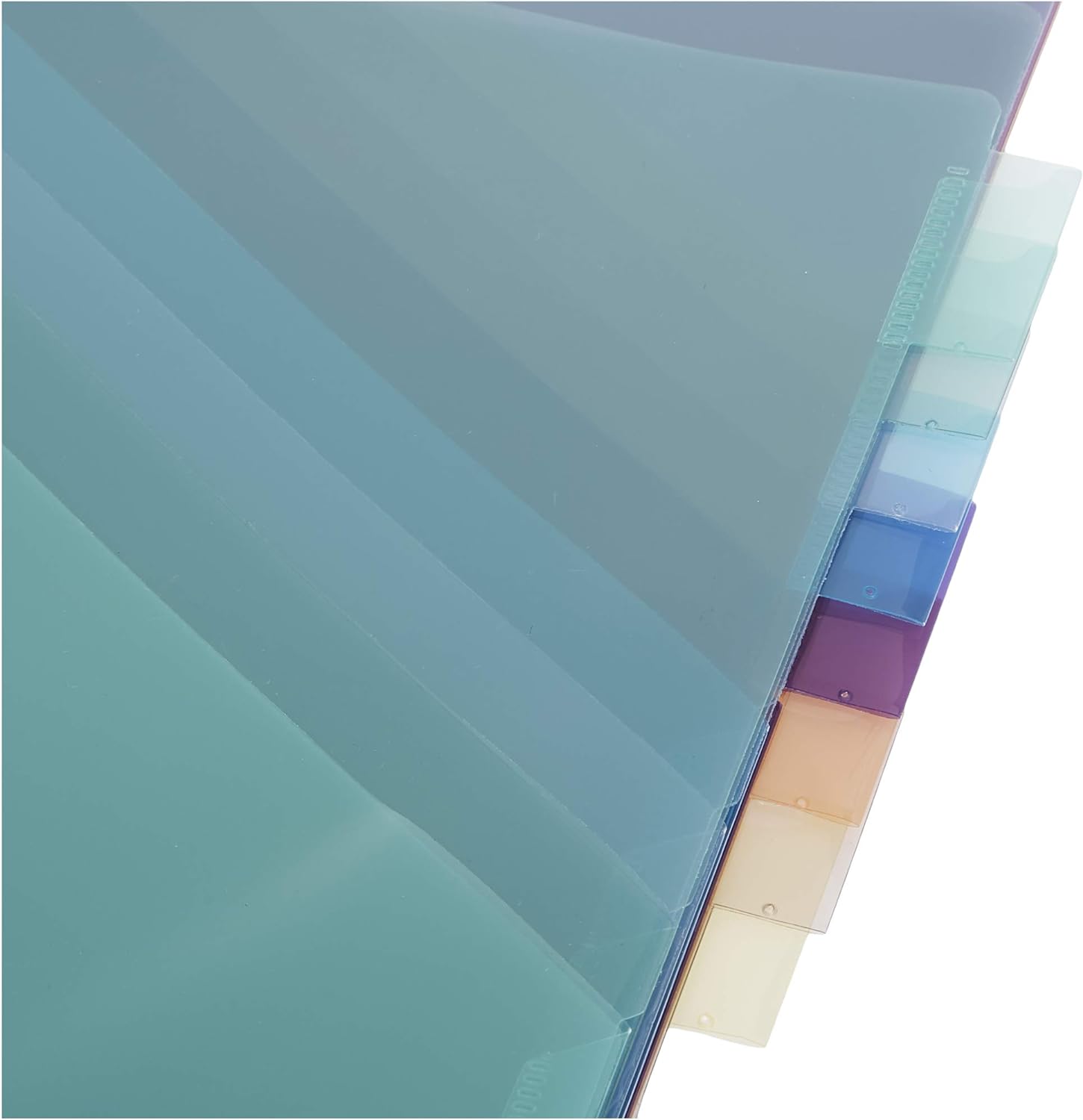Amazon Basics Two Pocket Plastic Dividers 8 Tab Set 24 Count Pack of 3 Letter Size Assorted Color24 Count