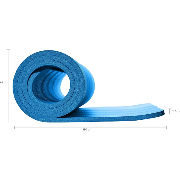 Amazon Basics 12Inch Extra Thick Exercise Yoga MatBlue