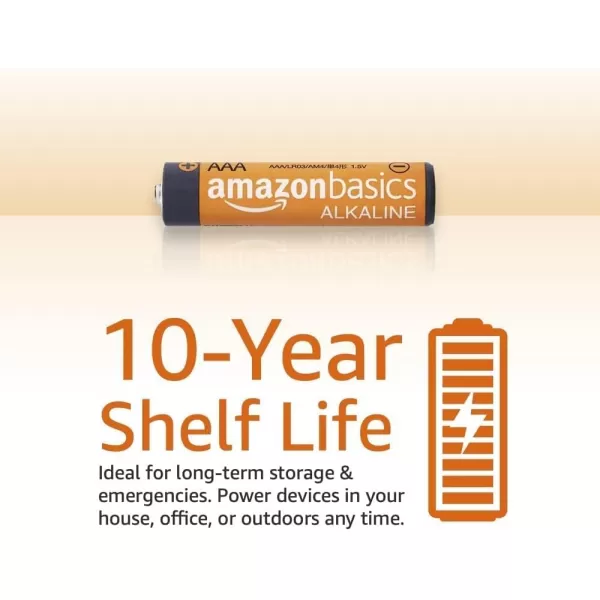 Amazon Basics 20Pack AAA Alkaline HighPerformance Batteries 15 Volt 10Year Shelf Life100 Count Pack of 1