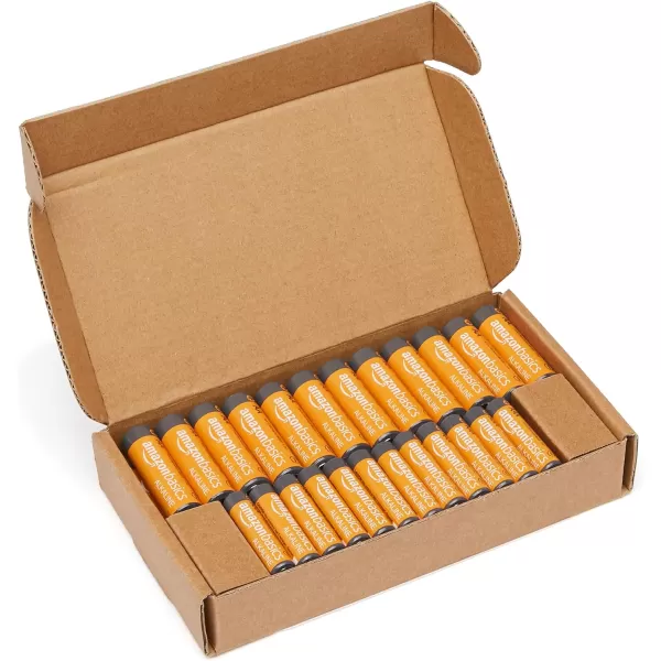 Amazon Basics 24 Count AA amp AAA HighPerformance Batteries Value Pack  12 Double AA Batteries and 12 Triple AAA Batteries48 Count Pack of 1