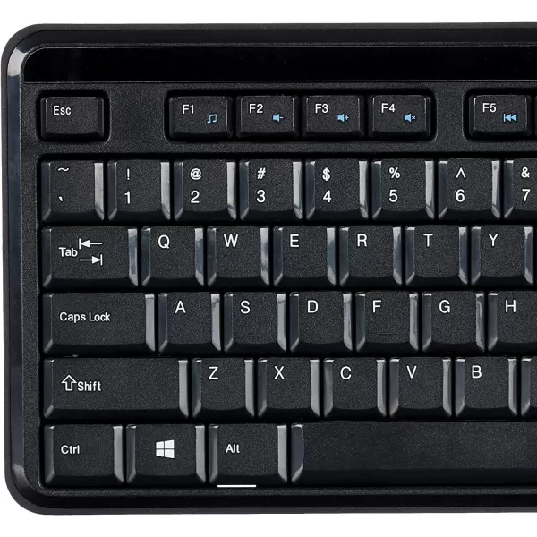 Amazon Basics 24GHz Wireless Keyboard Quiet and Compact US Layout QWERTY BlackAmazon Basics 24GHz Wireless Keyboard Quiet and Compact US Layout QWERTY Black