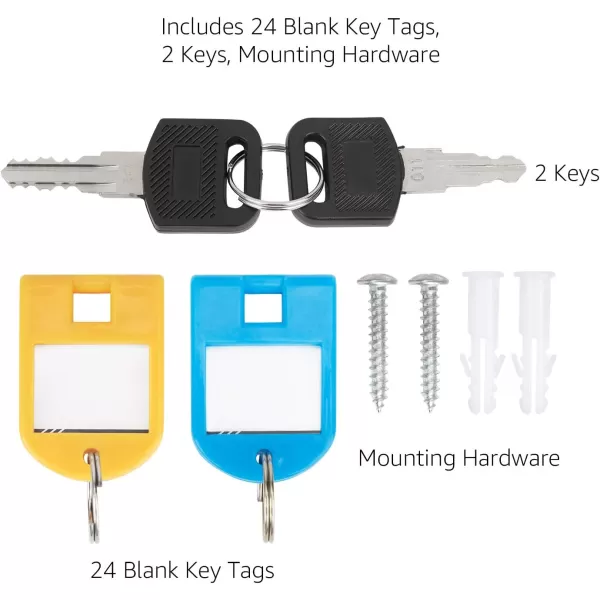 Amazon Basics 24Key Position Cabinet lock Box Silver 125D x 85W x 245HSilver 125D x 85W x 245H 24Key