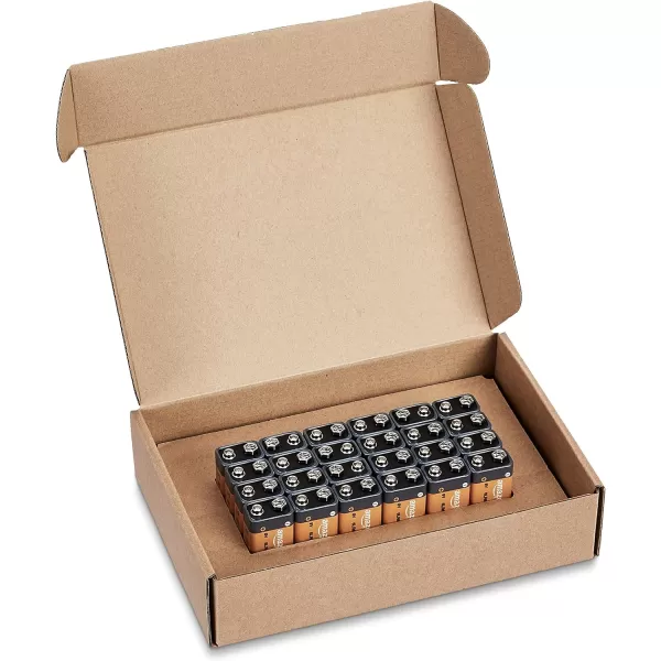 Amazon Basics 4Pack 9 Volt Alkaline Performance AllPurpose Batteries 5Year Shelf Life Packaging May Vary24 Count Pack of 1