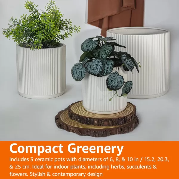 Amazon Basics Assorted Sizes Fluted Ceramic Round Planters Set of 3 Black 6Inch 8Inch 10Inch6Inch 8Inch 10Inch White