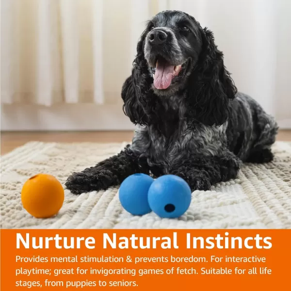 Amazon Basics Assorted Toy Dog Balls Bundle 25Inch 3PackFetch Balls Pack of 3 25 inch
