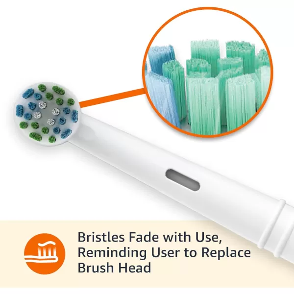 Amazon Basics Battery Powered Rechargeable Toothbrush with Action Clean Brush Heads and Charger 4 Piece Set WhiteAmazon Basics Battery Powered Rechargeable Toothbrush with Action Clean Brush Heads and Charger 4 Piece Set White