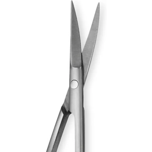 Amazon Basics Beauty Scissors Stainless Steel SilverAmazon Basics Beauty Scissors Stainless Steel Silver