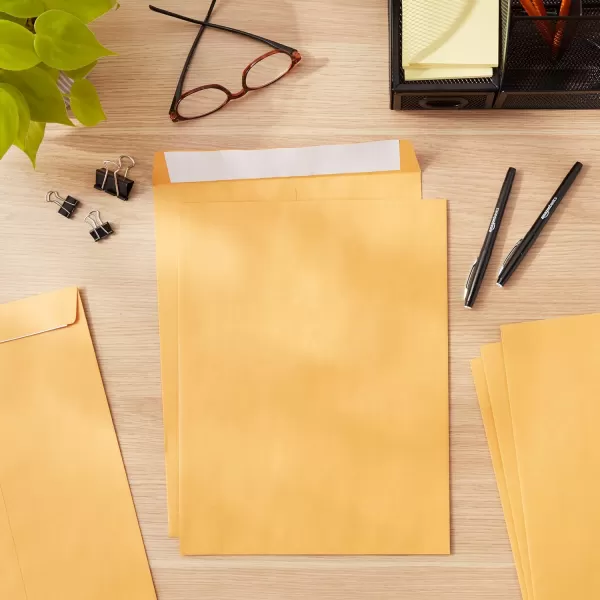 Amazon Basics Catalog Mailing Envelopes Peel amp Seal 10x13 Inch Brown Kraft 250Pack100Pack 10 x 13 Envelopes