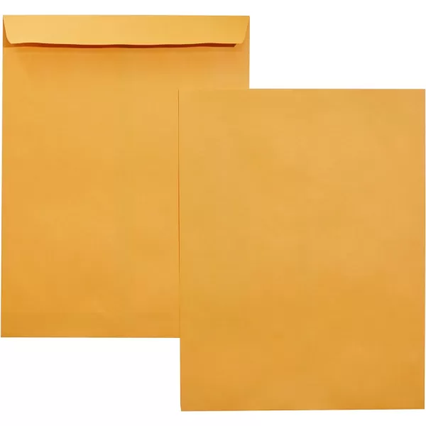 Amazon Basics Catalog Mailing Envelopes Peel amp Seal 10x13 Inch Brown Kraft 250Pack100Pack 10 x 13 Envelopes