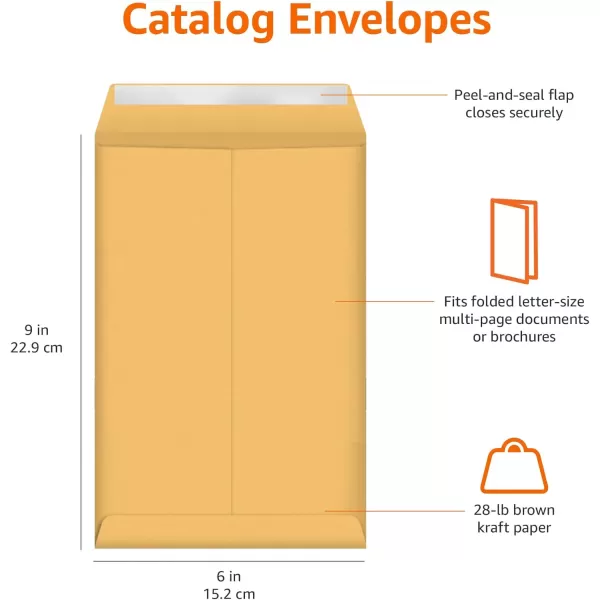 Amazon Basics Catalog Mailing Envelopes Peel amp Seal 10x13 Inch Brown Kraft 250Pack100Pack 6 x 9 Envelopes