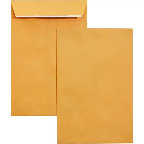 Amazon Basics Catalog Mailing Envelopes Peel amp Seal 10x13 Inch Brown Kraft 250Pack100Pack 6 x 9 Envelopes