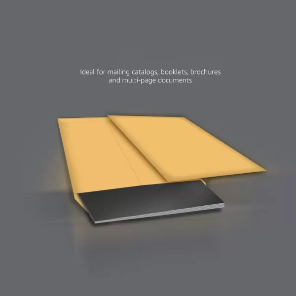 Amazon Basics Catalog Mailing Envelopes Peel amp Seal 10x13 Inch Brown Kraft 250Pack100Pack 6 x 9 Envelopes