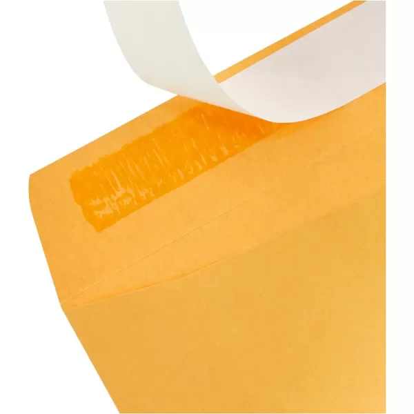 Amazon Basics Catalog Mailing Envelopes Peel amp Seal 10x13 Inch Brown Kraft 250Pack100Pack 6 x 9 Envelopes
