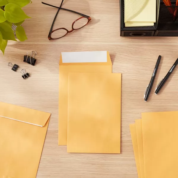 Amazon Basics Catalog Mailing Envelopes Peel amp Seal 10x13 Inch Brown Kraft 250Pack100Pack 6 x 9 Envelopes