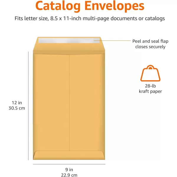 Amazon Basics Catalog Mailing Envelopes Peel amp Seal 10x13 Inch Brown Kraft 250Pack100Pack 9 x 12 Envelopes