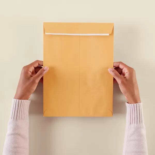 Amazon Basics Catalog Mailing Envelopes Peel amp Seal 10x13 Inch Brown Kraft 250Pack100Pack 9 x 12 Envelopes