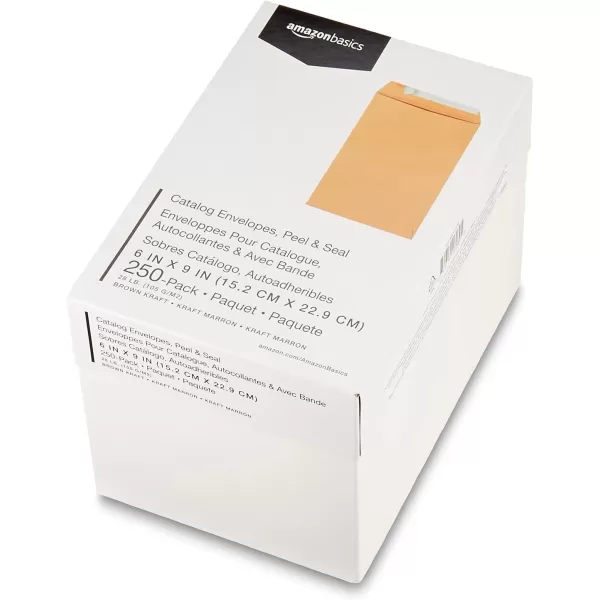 Amazon Basics Catalog Mailing Envelopes Peel amp Seal 10x13 Inch Brown Kraft 250Pack250Pack 6 x 9 Envelopes