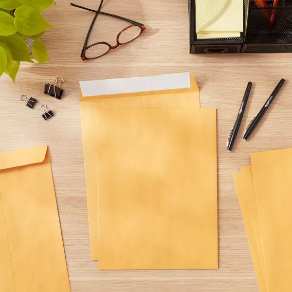 Amazon Basics Catalog Mailing Envelopes Peel amp Seal 10x13 Inch Brown Kraft 250Pack250Pack 9 x 12 Envelopes