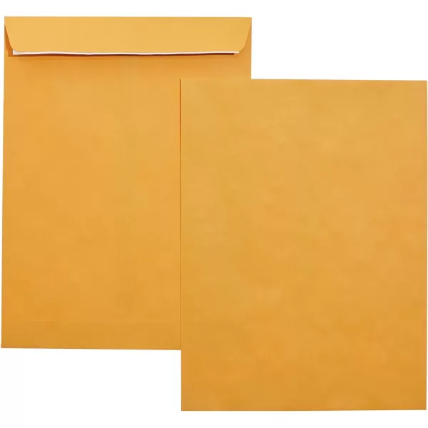 Amazon Basics Catalog Mailing Envelopes Peel amp Seal 10x13 Inch Brown Kraft 250Pack250Pack 9 x 12 Envelopes