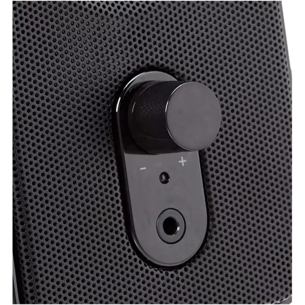 Amazon Basics Computer Speakers for Desktop or Laptop PC  USBPowered BlackAC