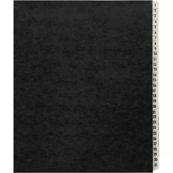 Amazon Basics Daily amp Monthly Desk File Sorter Letter Size BlackDaily 131
