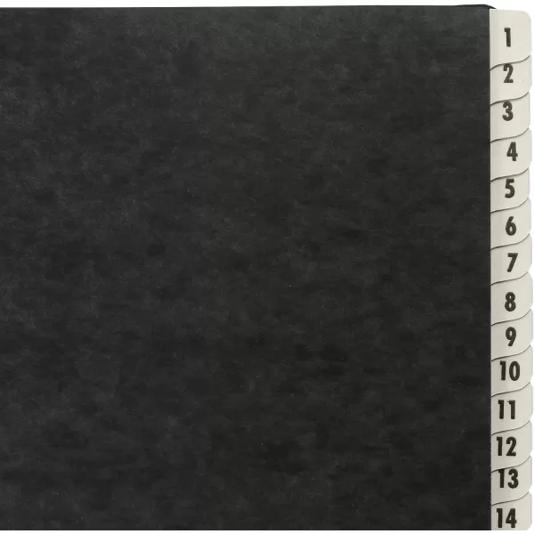 Amazon Basics Daily amp Monthly Desk File Sorter Letter Size BlackDaily 131