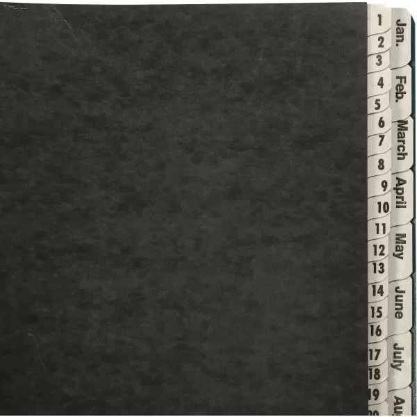 Amazon Basics Daily amp Monthly Desk File Sorter Letter Size BlackDailyMonthly