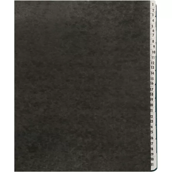 Amazon Basics Daily amp Monthly Desk File Sorter Letter Size BlackDailyMonthly