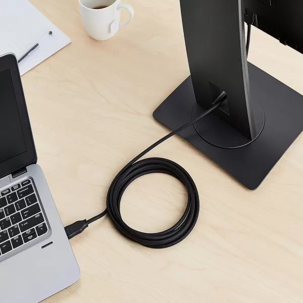 Amazon Basics DisplayPort to DVI Display Cable 1920x1080p 108060Hz Vinyl Cable GoldPlated Plugs 6 Foot Black10 Feet 10Pack