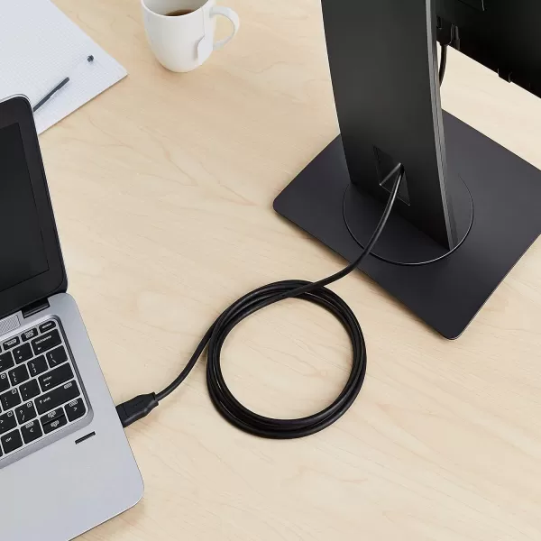 Amazon Basics DisplayPort to DVI Display Cable 1920x1080p 108060Hz Vinyl Cable GoldPlated Plugs 6 Foot Black6 Feet 10Pack