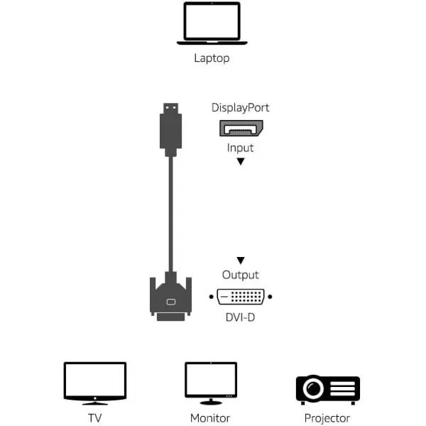 Amazon Basics DisplayPort to DVI Display Cable 1920x1080p 108060Hz Vinyl Cable GoldPlated Plugs 6 Foot Black6 Feet 1Pack