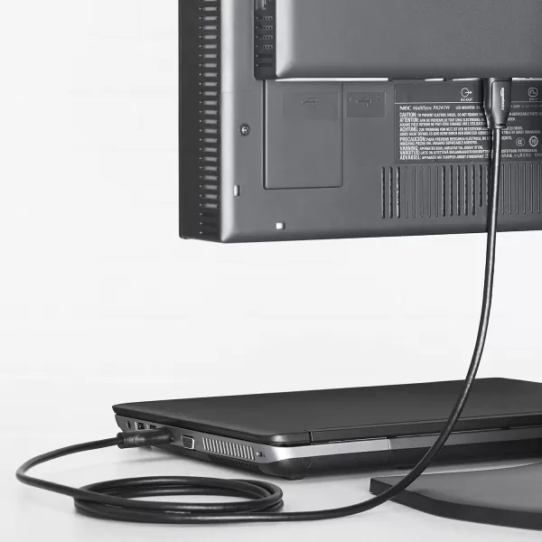 Amazon Basics DisplayPort to DisplayPort HD Display Cable  6 Feet 52 Count Black1Pack 10 Feet