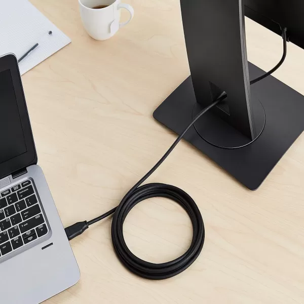 Amazon Basics DisplayPort to DisplayPort HD Display Cable  6 Feet 52 Count BlackCase of 52 10 Feet