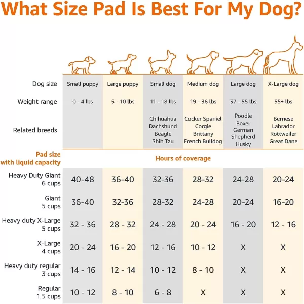 Amazon Basics Dog and Puppy Pee Pads with 5Layer LeakProof Design and QuickDry Surface for Potty Training Regular 22 x 22 Inch Scented  Pack of 100Heavy Duty Regular 50 Count