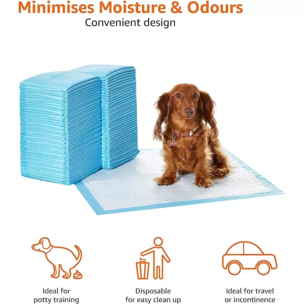 Amazon Basics Dog and Puppy Pee Pads with 5Layer LeakProof Design and QuickDry Surface for Potty Training Regular 22 x 22 Inch Scented  Pack of 100Heavy Duty Regular 80 Count