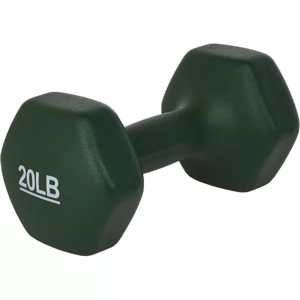 Amazon Basics Easy Grip Workout Dumbbell Neoprene Coated Various Sets and Weights available20Pound Pair