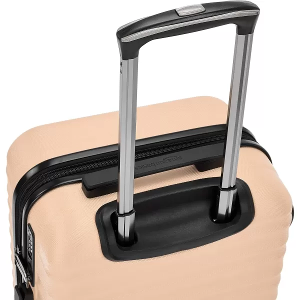 Amazon Basics Hardside Spinner Suitcase Luggage with Wheels  20Inch 28Inch BlackPink 20inch Carryon