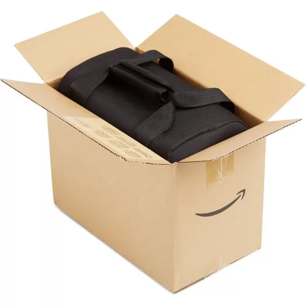 Amazon Basics Large DSLR Gadget Bag Black with Orange Interior SolidLarge Grey Interior