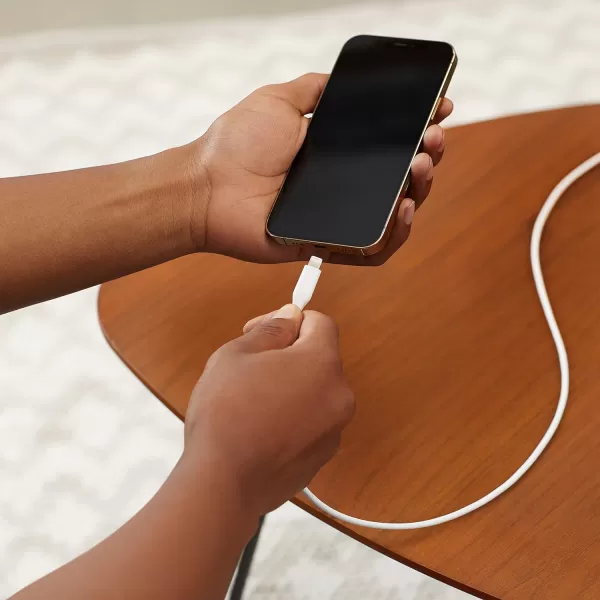 Amazon Basics Lightning to USBA Cable for iPhone 10 Feet White3 Feet 2Pack White