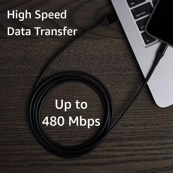 Amazon Basics Lightning to USBA Cable for iPhone 10 Feet White6 Feet 1Pack Black
